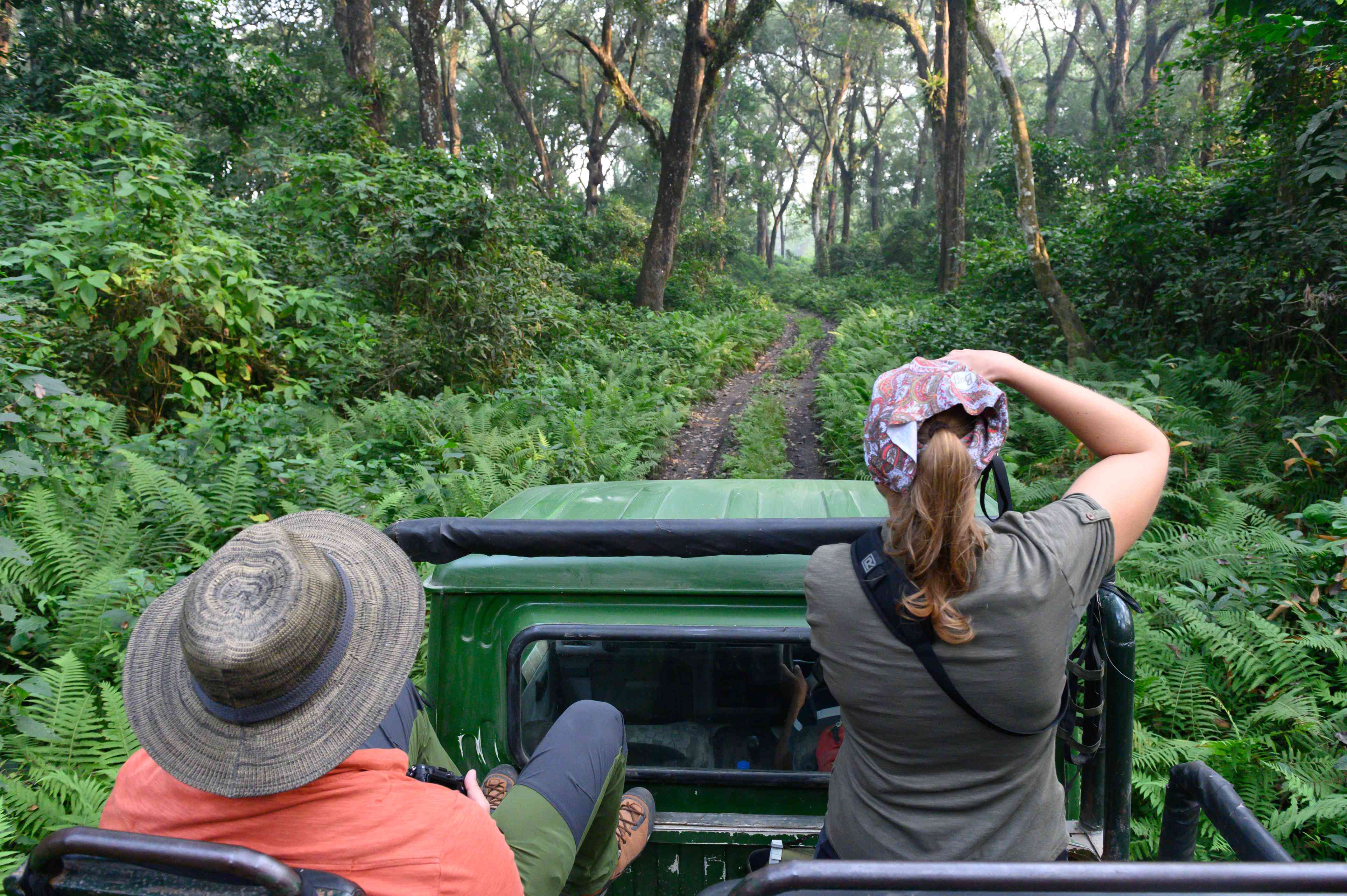 Jeep Safari at Chitwan National Park