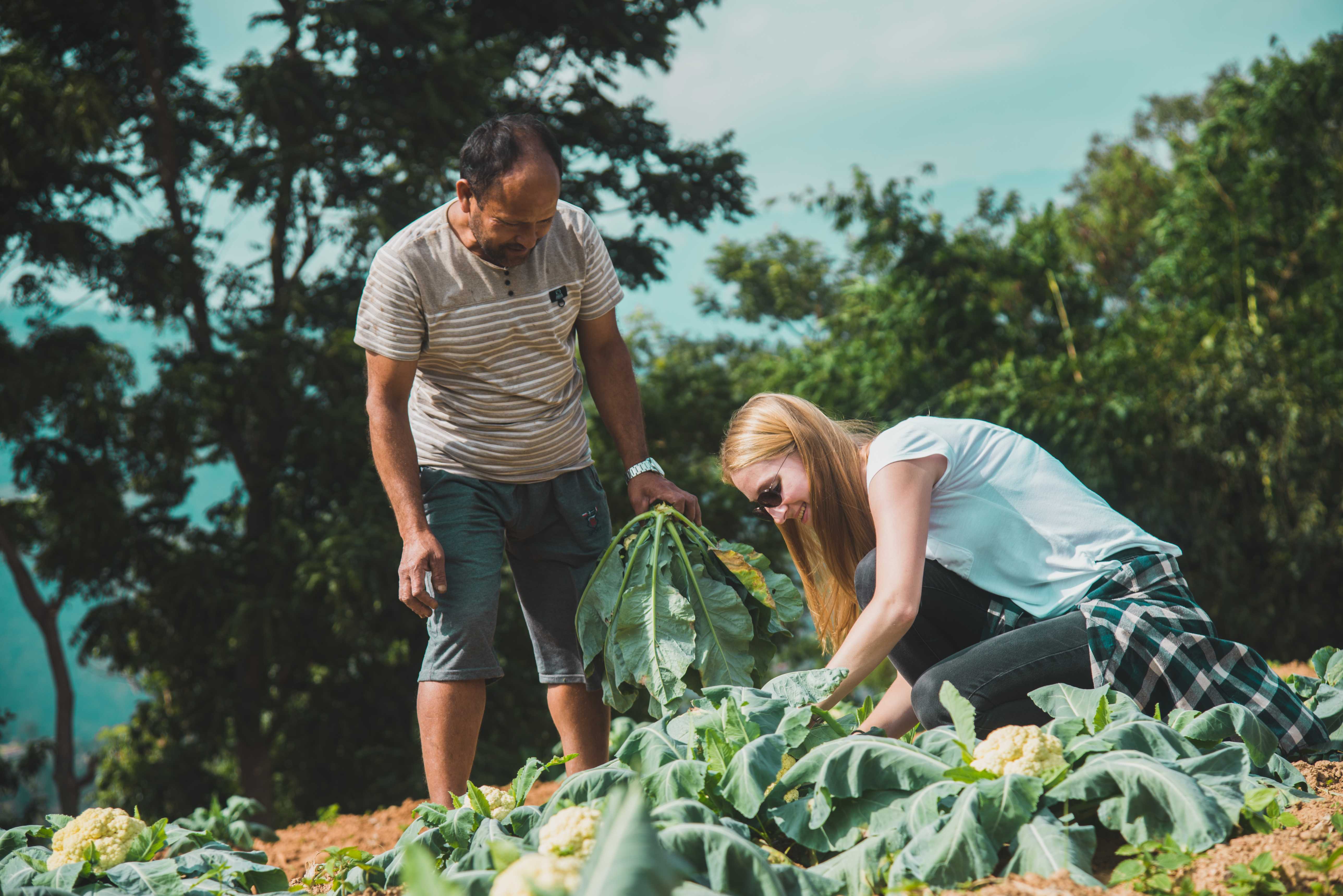 Organic Farming Class at Patlekhet Community Homestay