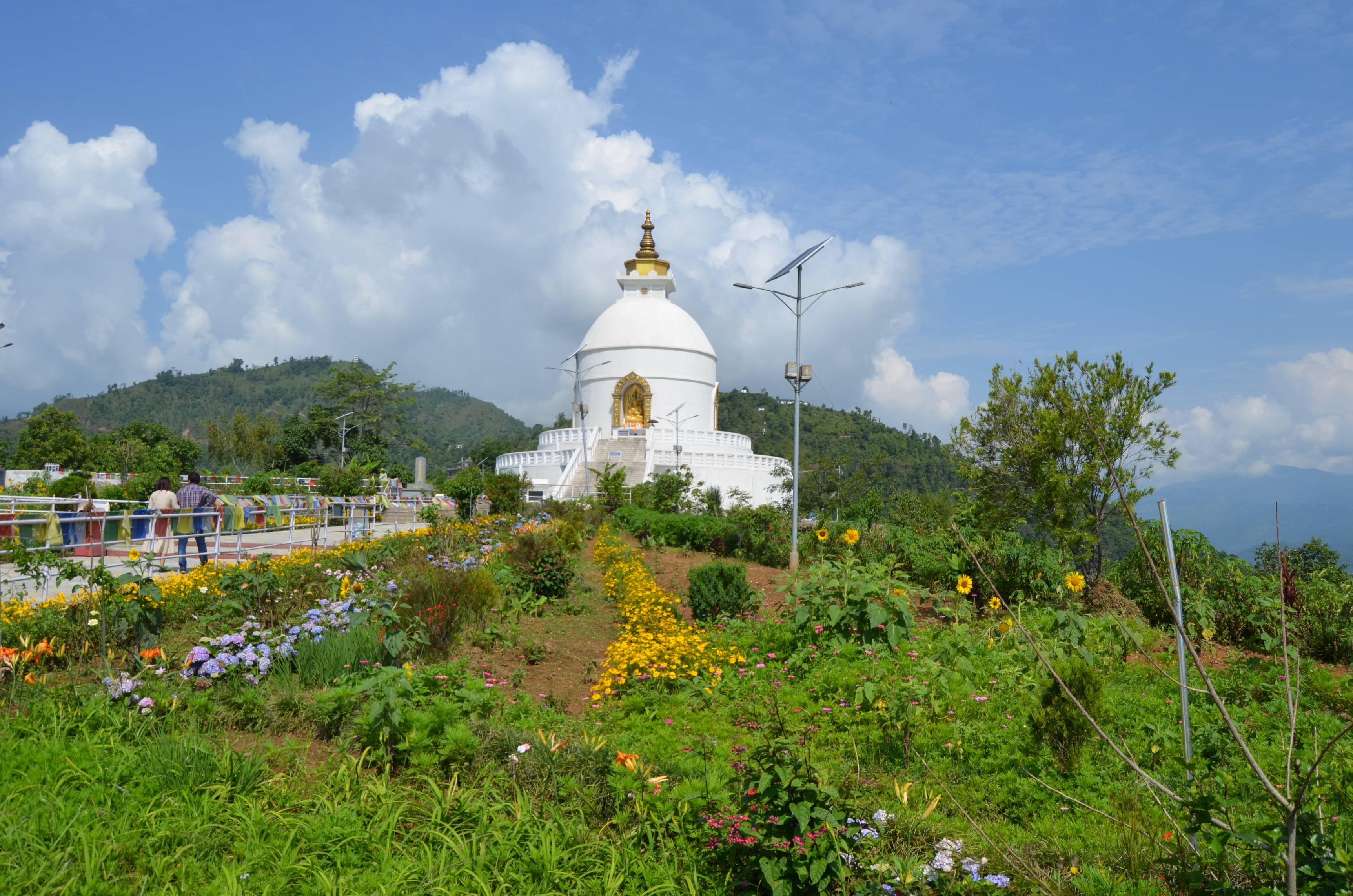  World Peace Pagoda