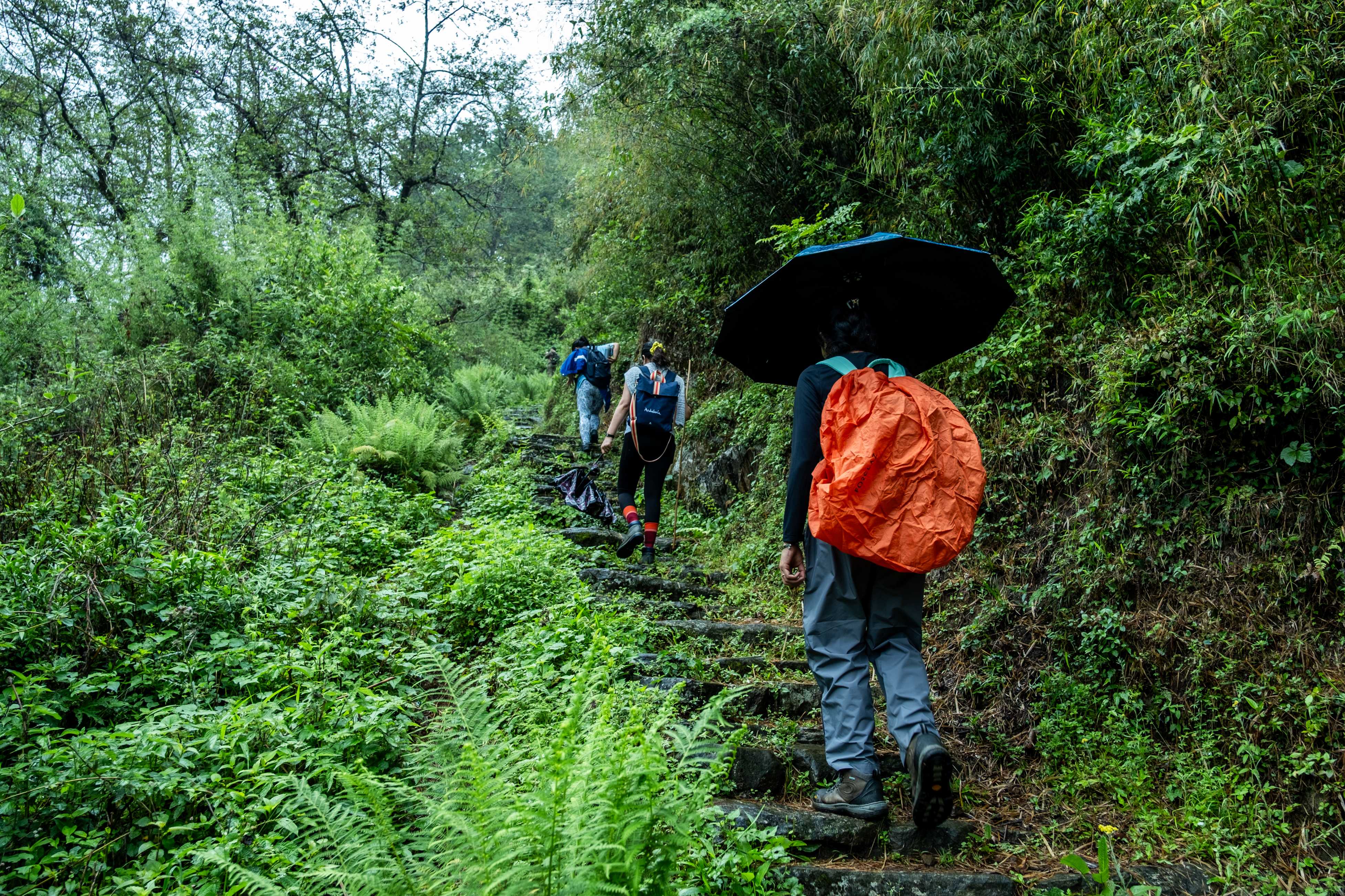 Trek to Narchyang 