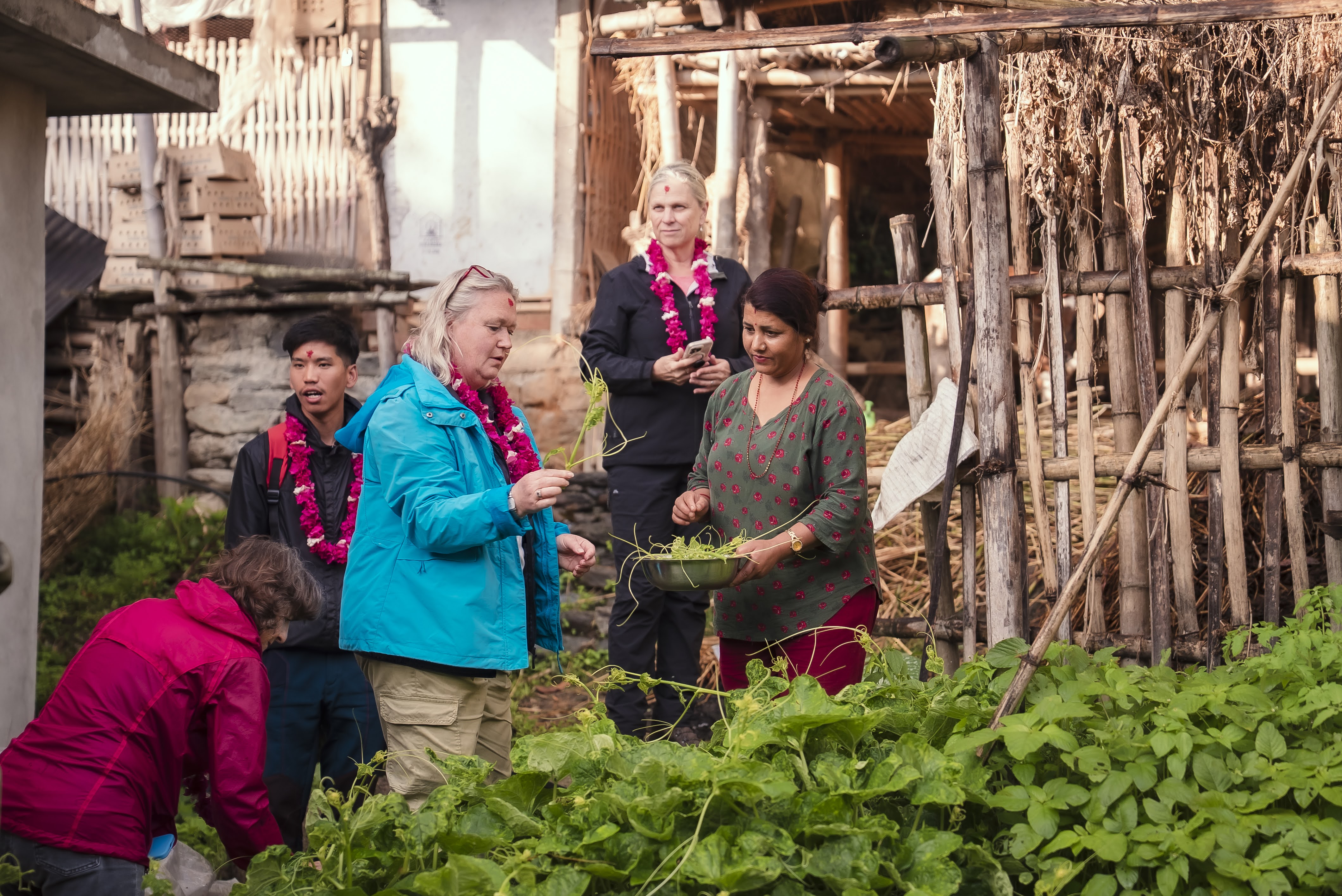 Farm to Table at Sipting Community Homestay, Dhankuta