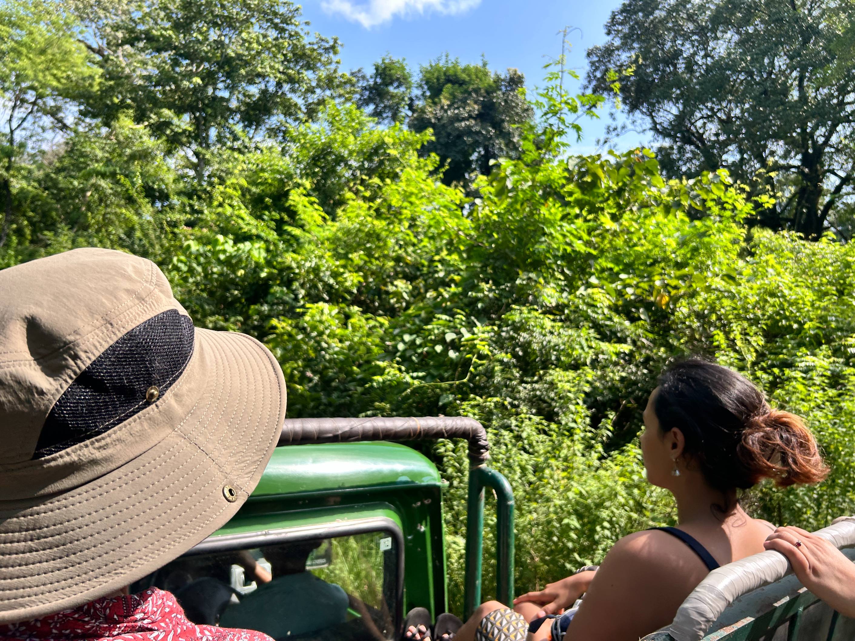 Jeep Safari in Chitwan National Park